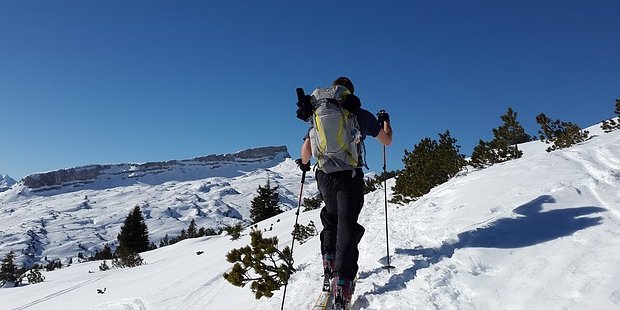 never Quit