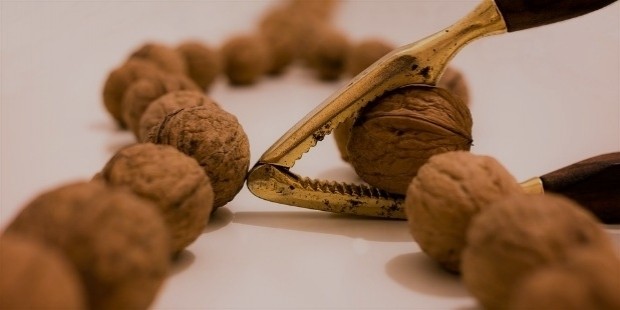 walnuts