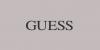 GuessSuccessStory