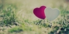 40 Wonderful Reasons to Love the World