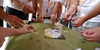 13 Most Effective Team Building Activities for Employees 