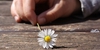 The Price of Life - Making better Decisions