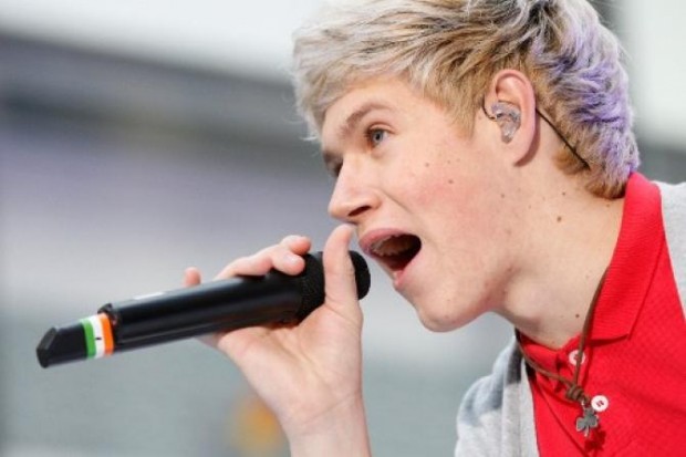 Niall Horan Early Career